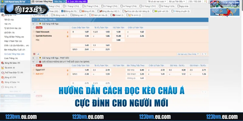 Hướng dẫn cách đọc kèo Châu Á cực đỉnh cho người mới