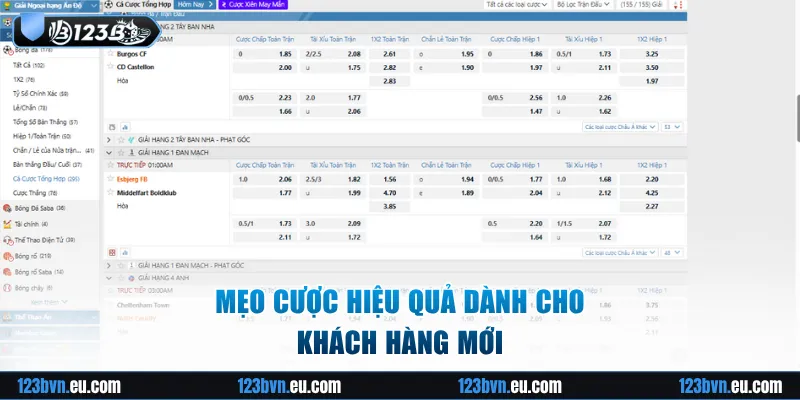 Mẹo cược hiệu quả dành cho khách hàng mới